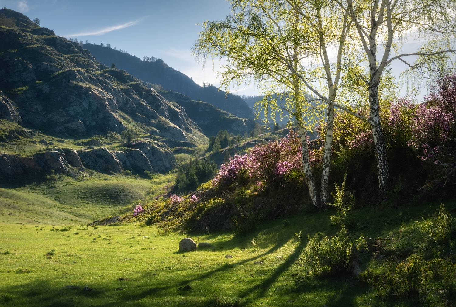 алтай, горный алтай, пейзажи алтая, онгудайский район, маральник, весна на алтае, горы, весенний алтай, рододендрон ледебура, весна в горах, Рубан Алена