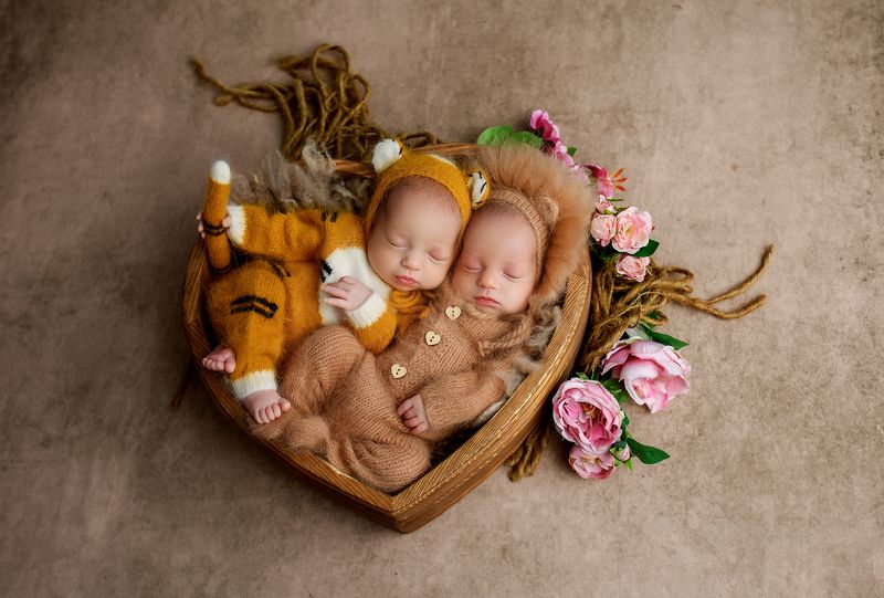 фото превью