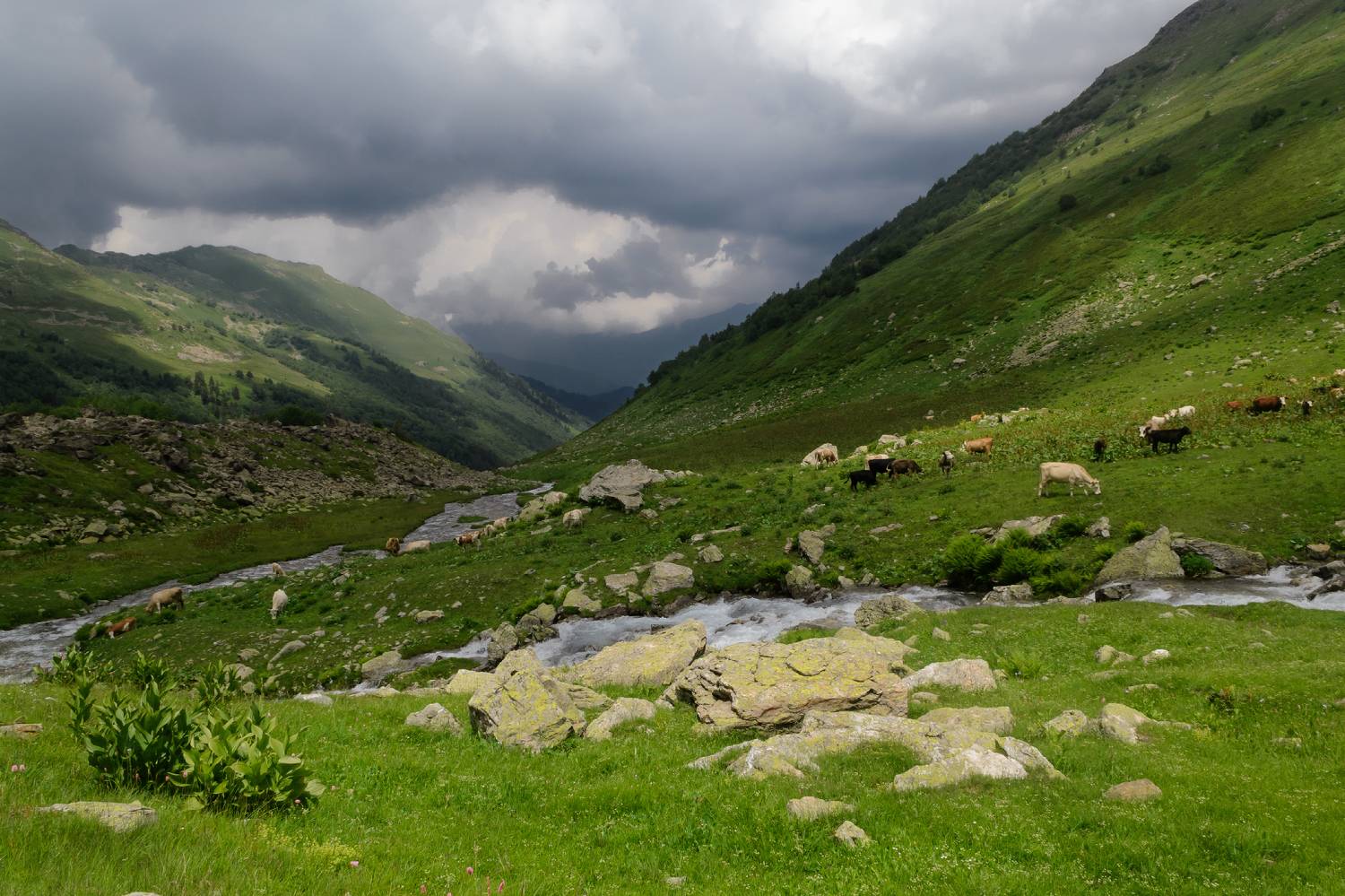 , Лысенко Сергей