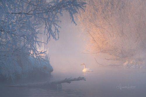 Морозное тепло...