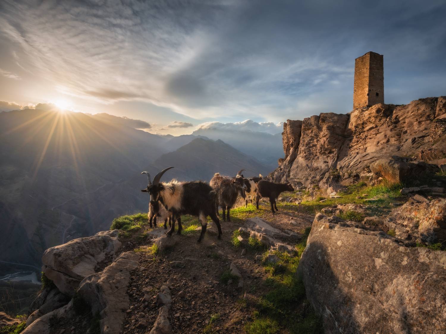 кавказ, Андрей Грачев