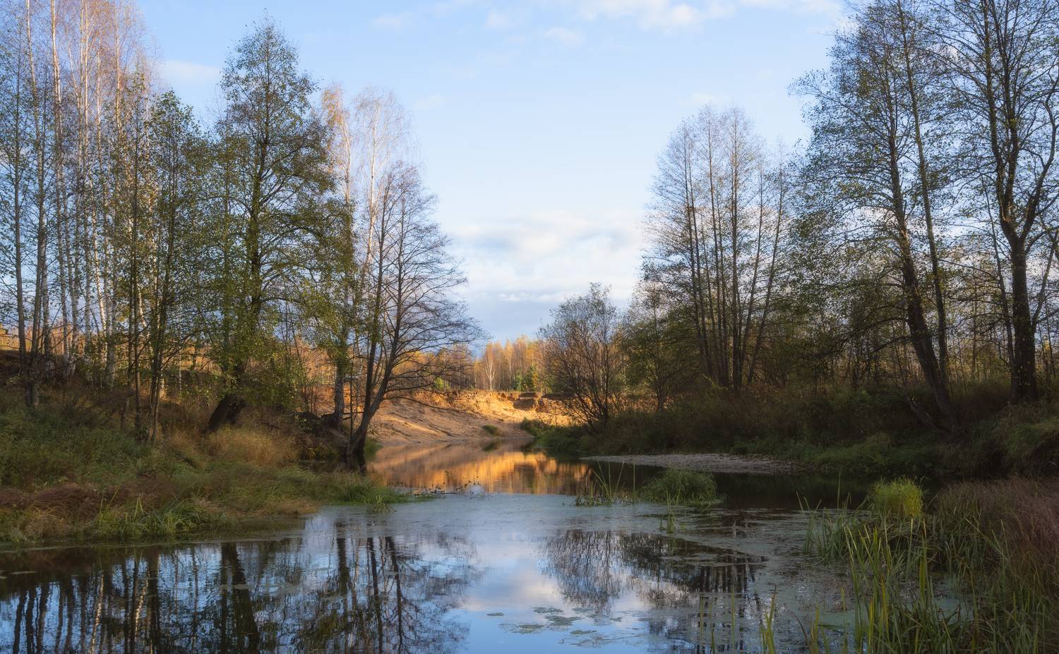 река деревья берег, Колесов Андрей