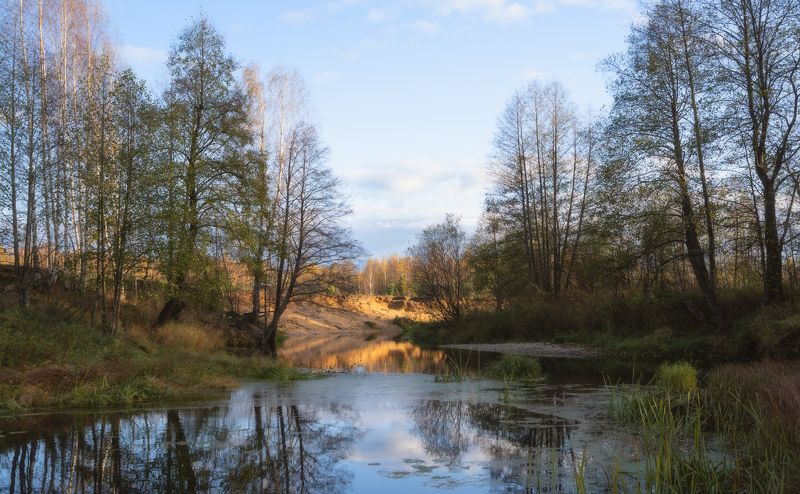 река деревья берег Кеза фото превью