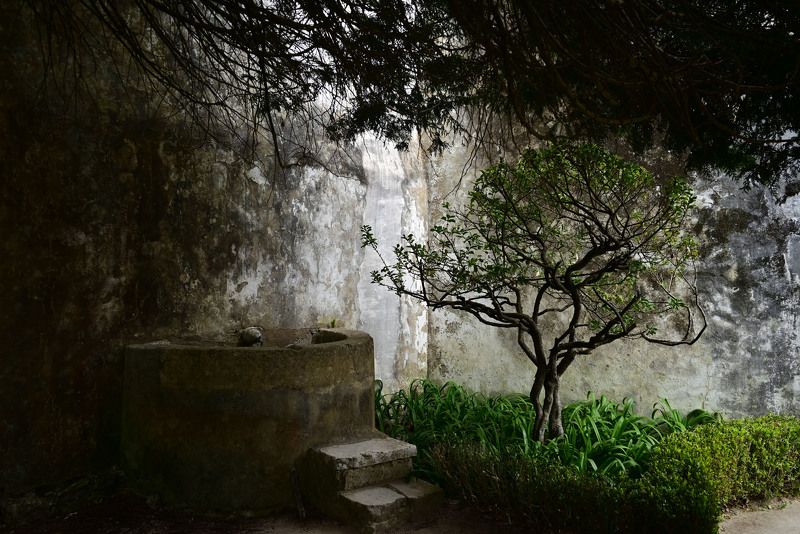 Garden in the Sintra Palace фото превью
