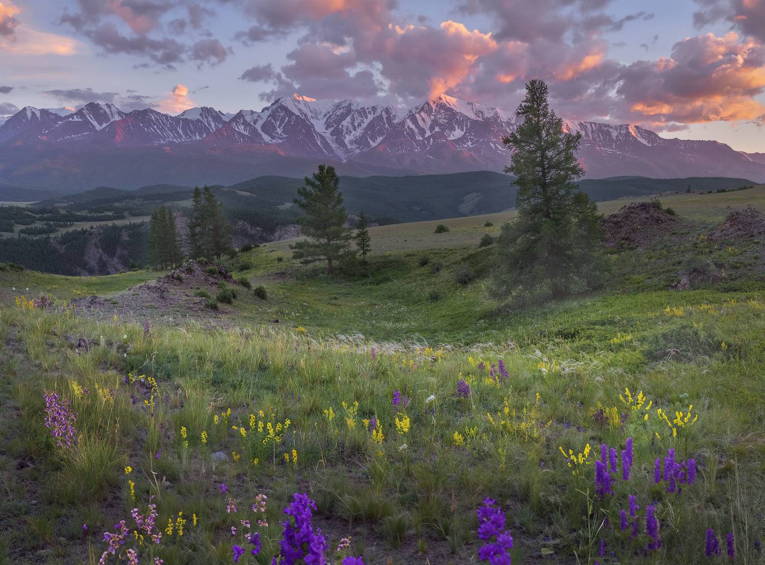 Фототуры с Владимиром Рябковым, #topnature #russpasibo #magic_shots #lovelyRussia #sunset_vision #exclusive_sky  #exclusive_shots #loves_russia2 #photoarena_nature #nature_sultans #nature_perfection #rsa_sky #rsa_sunset #photorussia #rsa_naturepics #sunse, Владимир Рябков