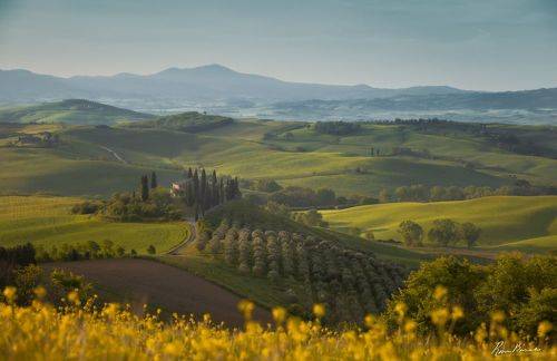 Tuscany Hills in Spring