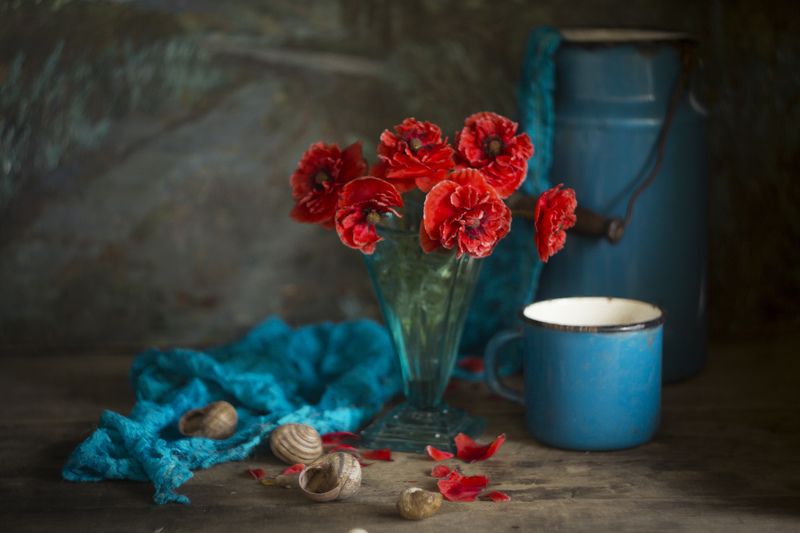 Бирюзово-красное фото превью