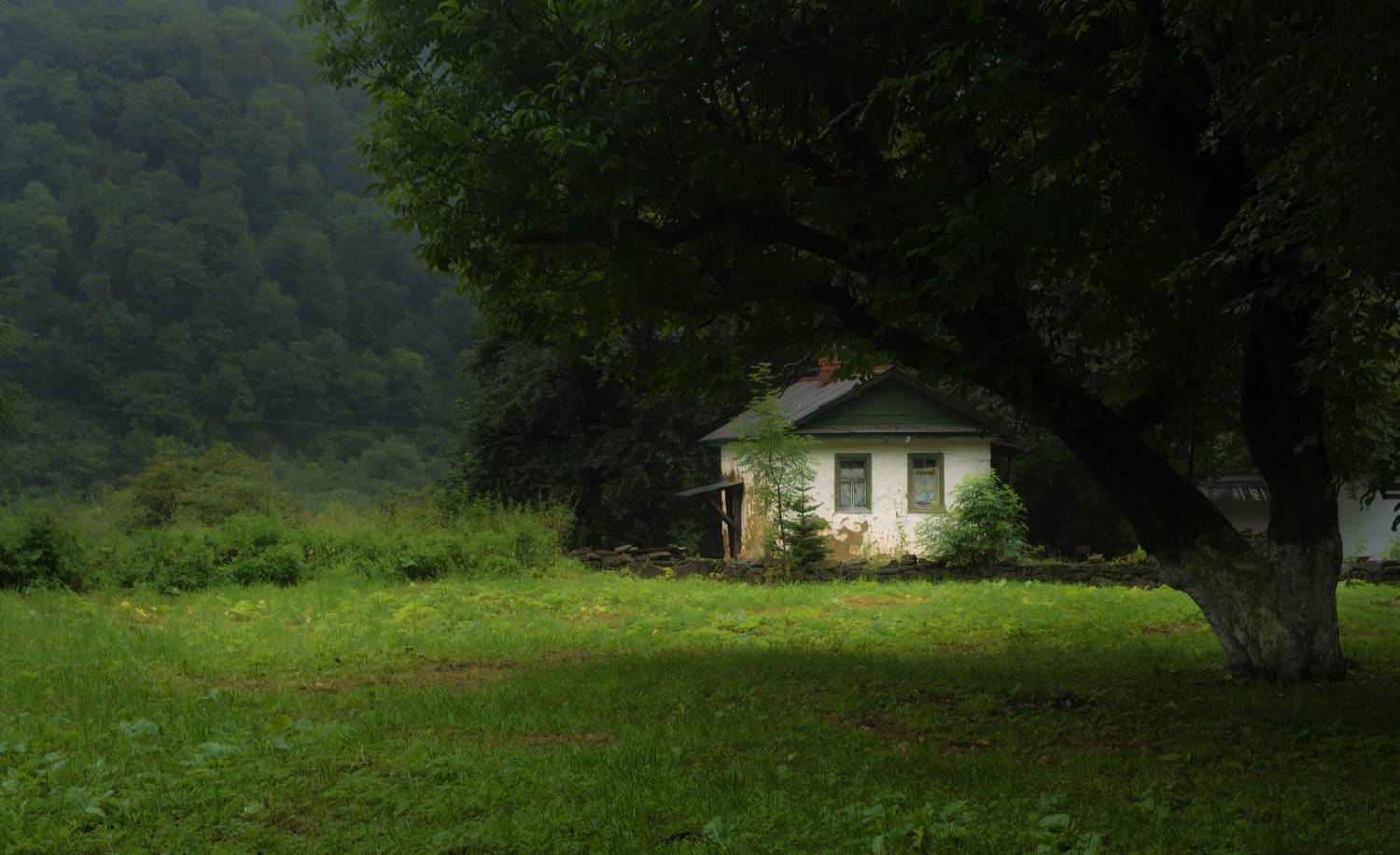 , Лысенко Сергей