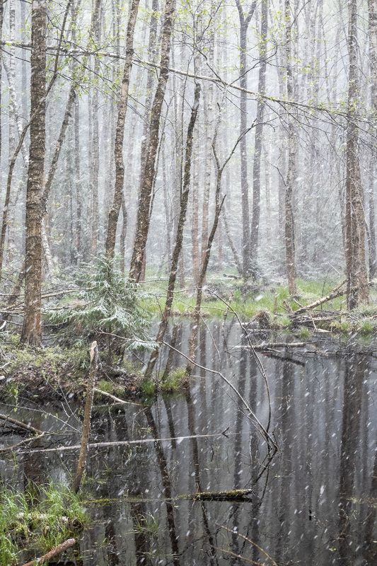 Последний снег фото превью
