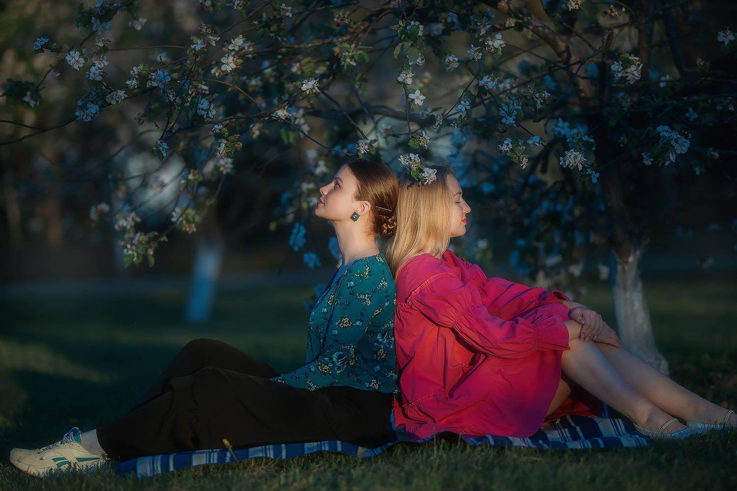 , Дмитрий Счеславский