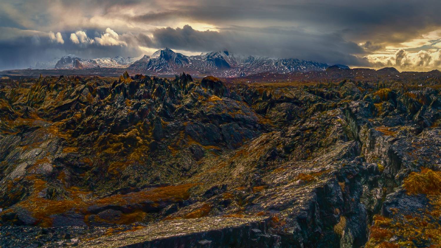 , Шварцман Евгений