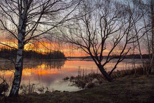 В паутине апрельского рассвета