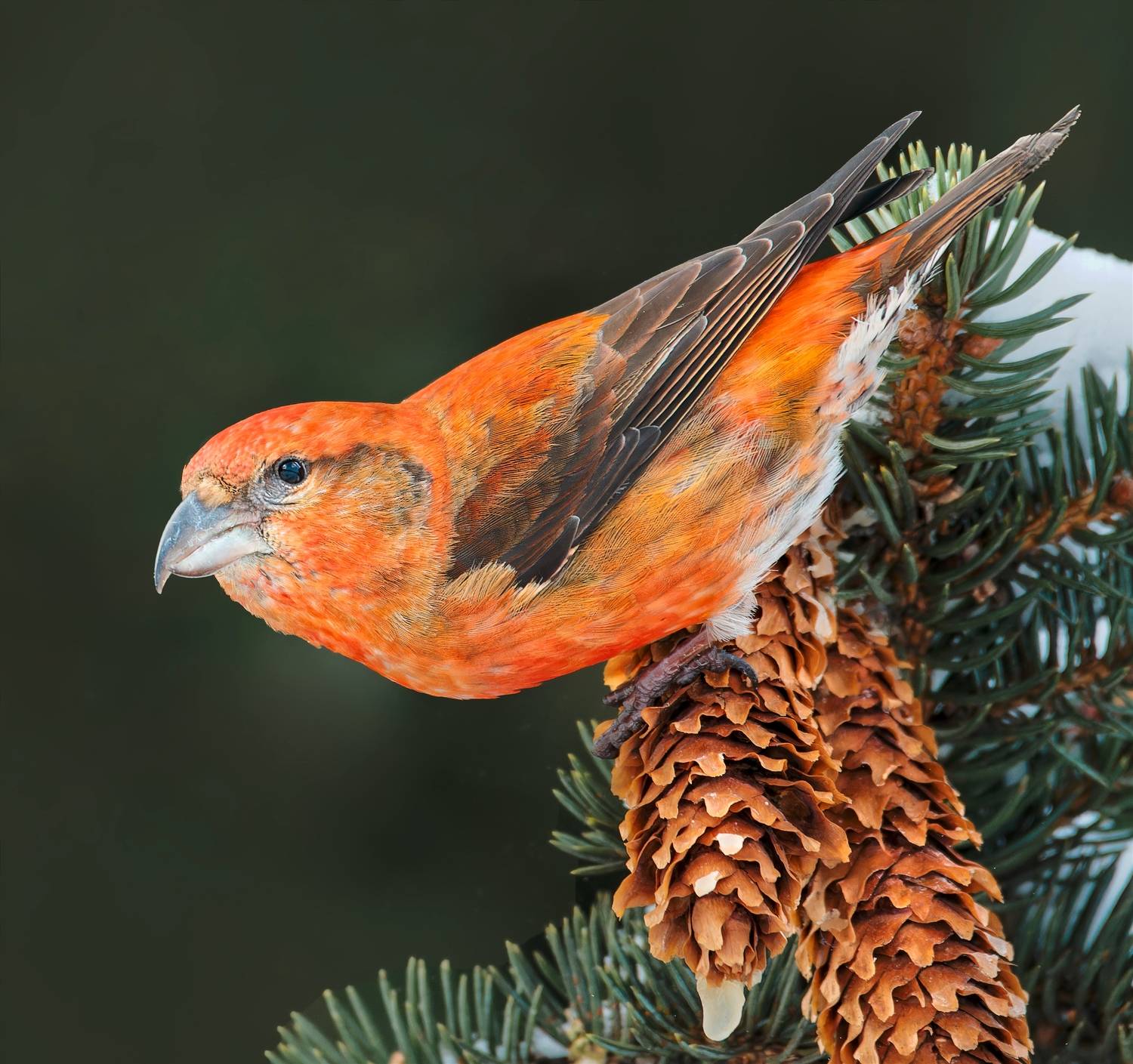 , Фото Александр