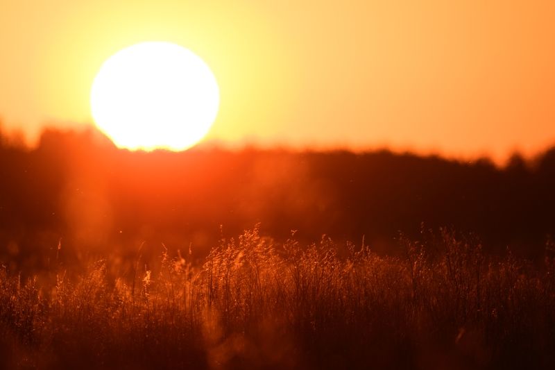 Sunrise фото превью