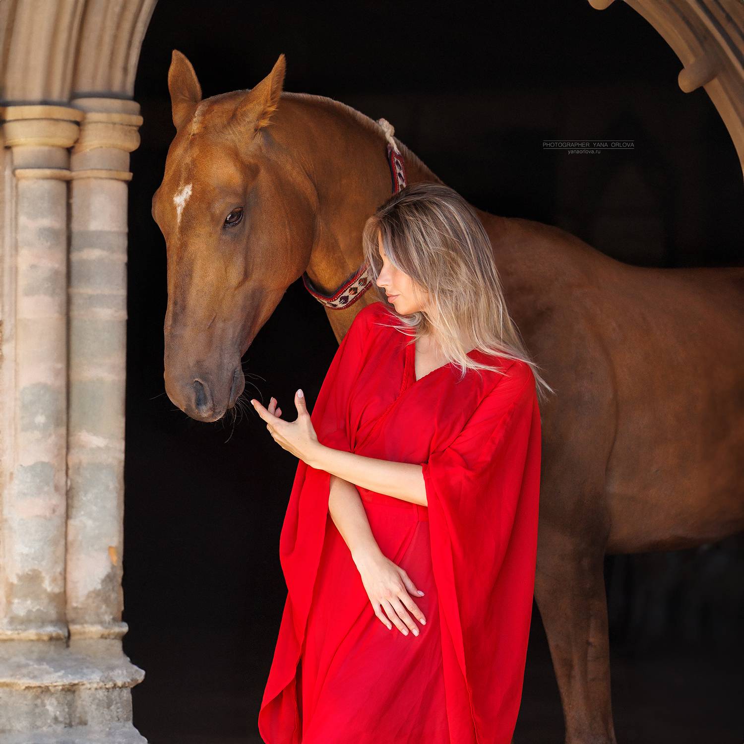 horse, horses, лошадь, конь, конный фотограф Яна Орлова, конныйфотограф, кэнон, canon, 7020028, лошади, фотографияслошадью, фотосессияслошадью, фотосессиислошадьми, коннаяфотография, pferd, horsephotographer, женский портрет, девушка , Яна Орлова