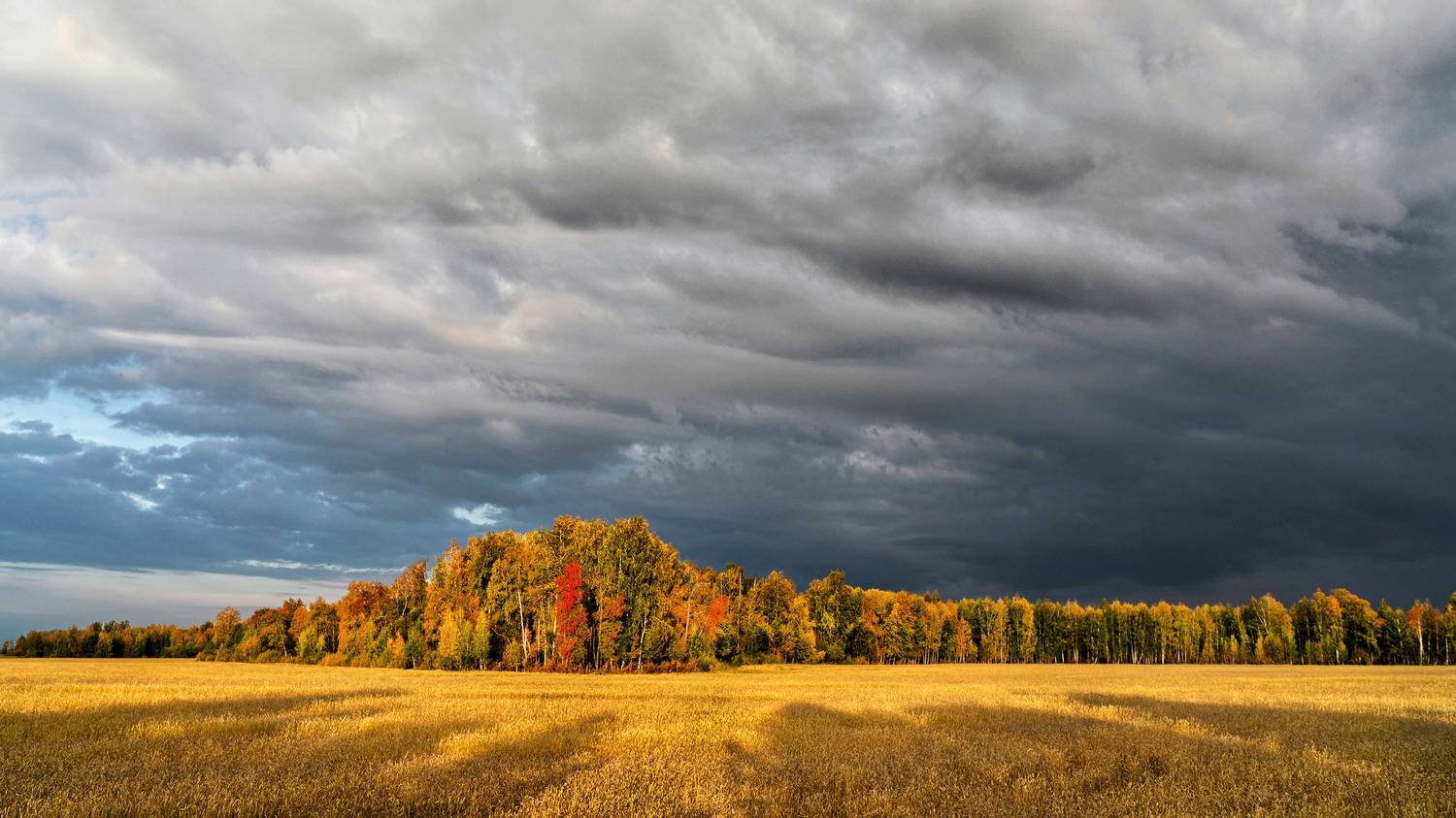 , Ушаков Валерий