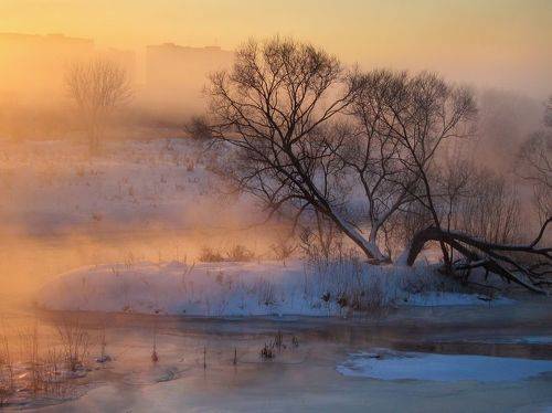 Зимнее утро в Истре