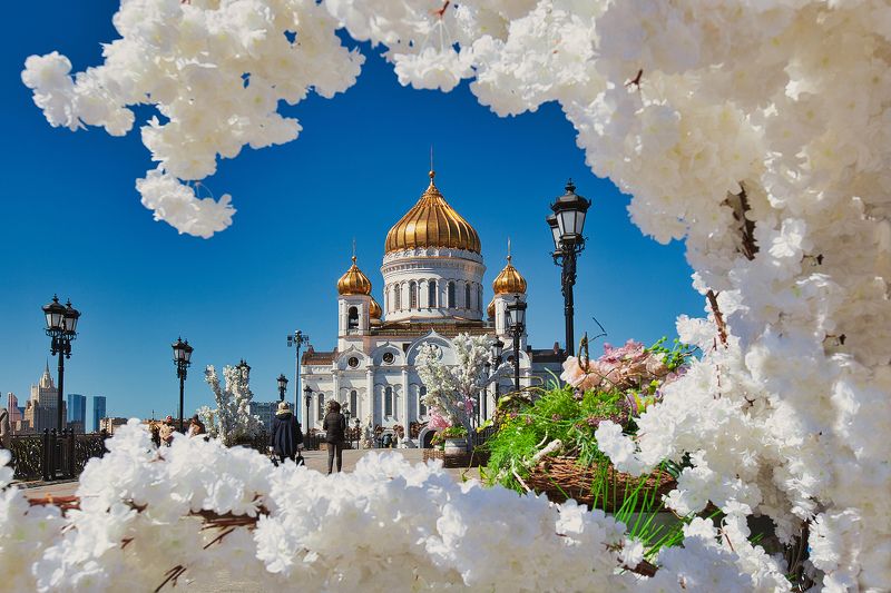 Праздничная фото превью