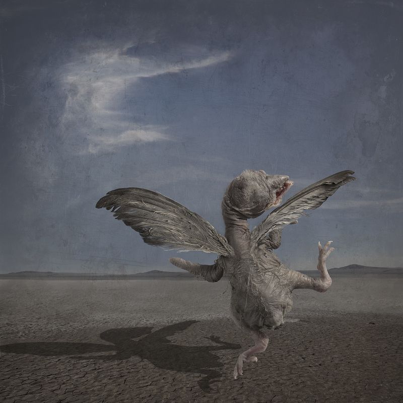 сюрреализм  фото превью