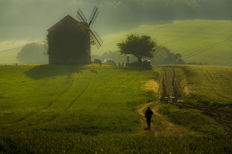 Agricultural, Field, Rural, Grass, Farm, Landscape, Moravske-Toskansko, Wildmill, Czech-Republic, Moravia, Sunrise Wildmill фото превью