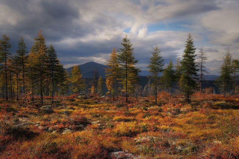 Колыма фото превью