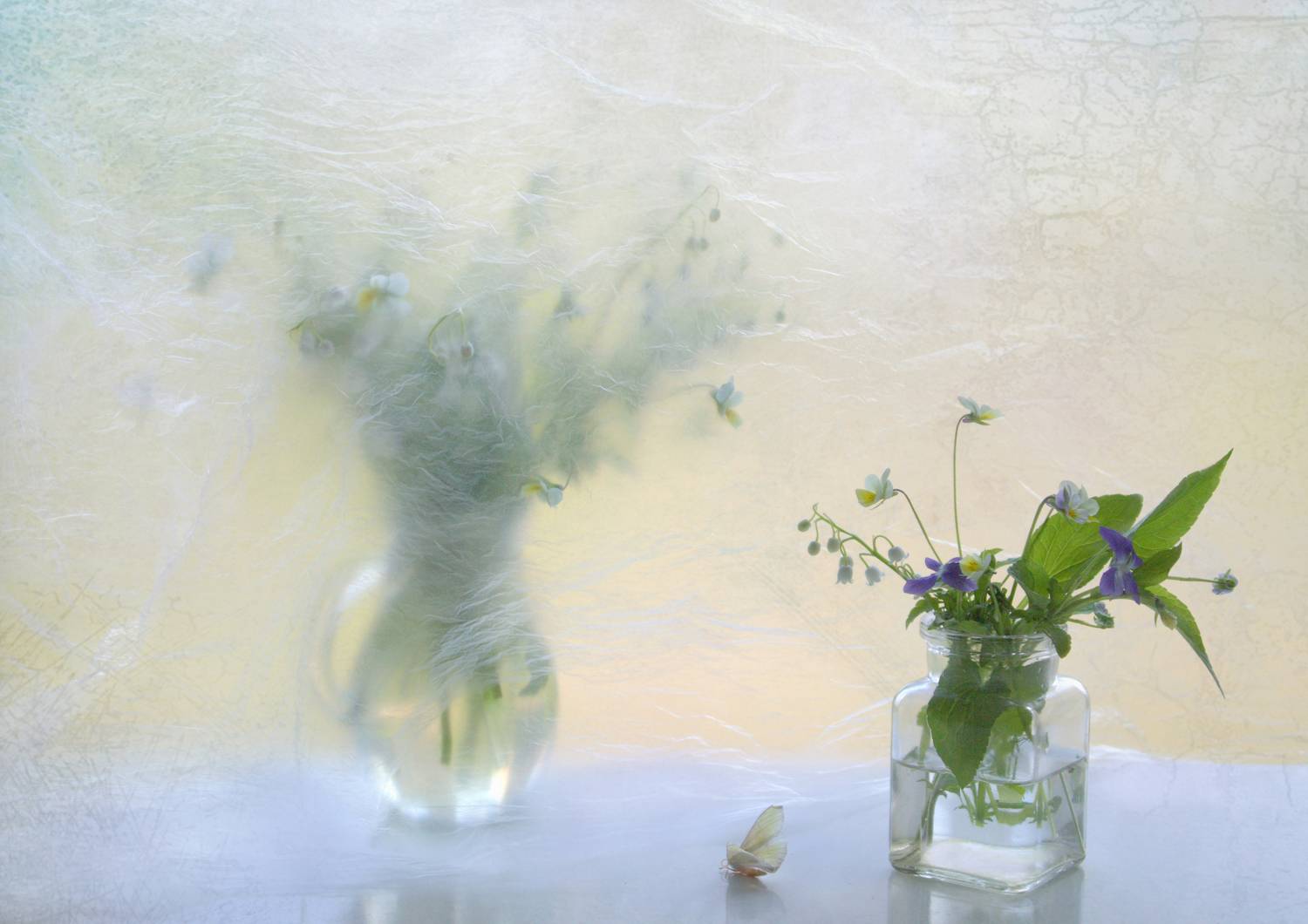 , Хохлова (Ермохина) Наталья