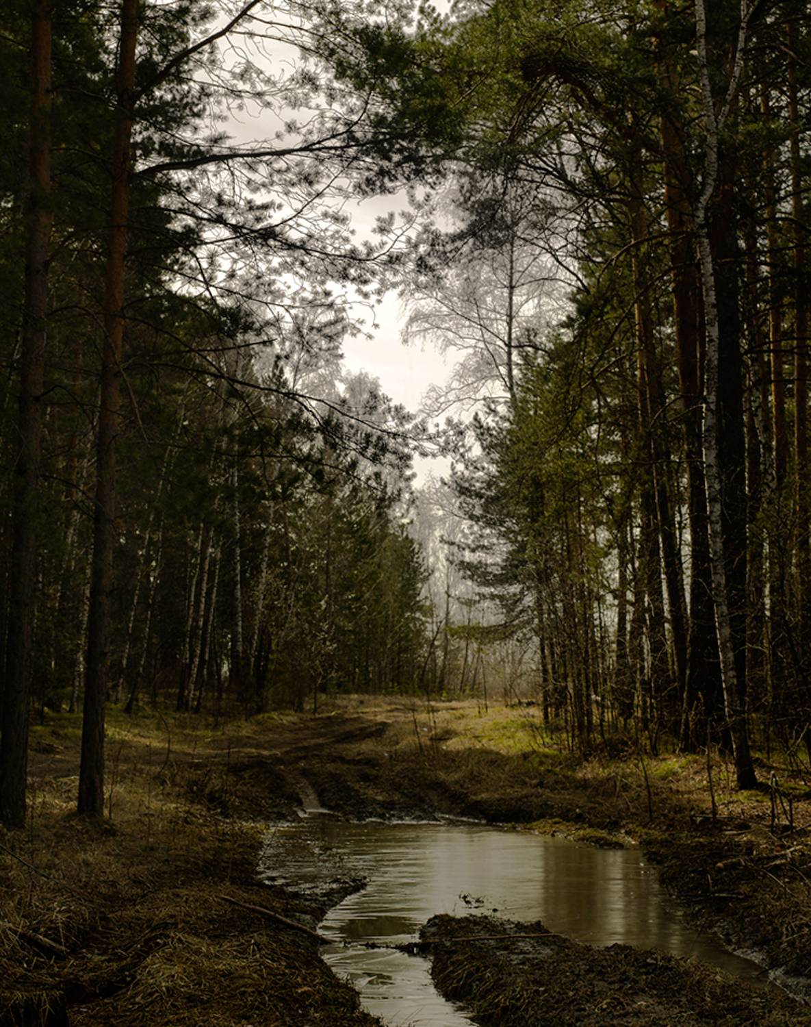 , Алексей Родак