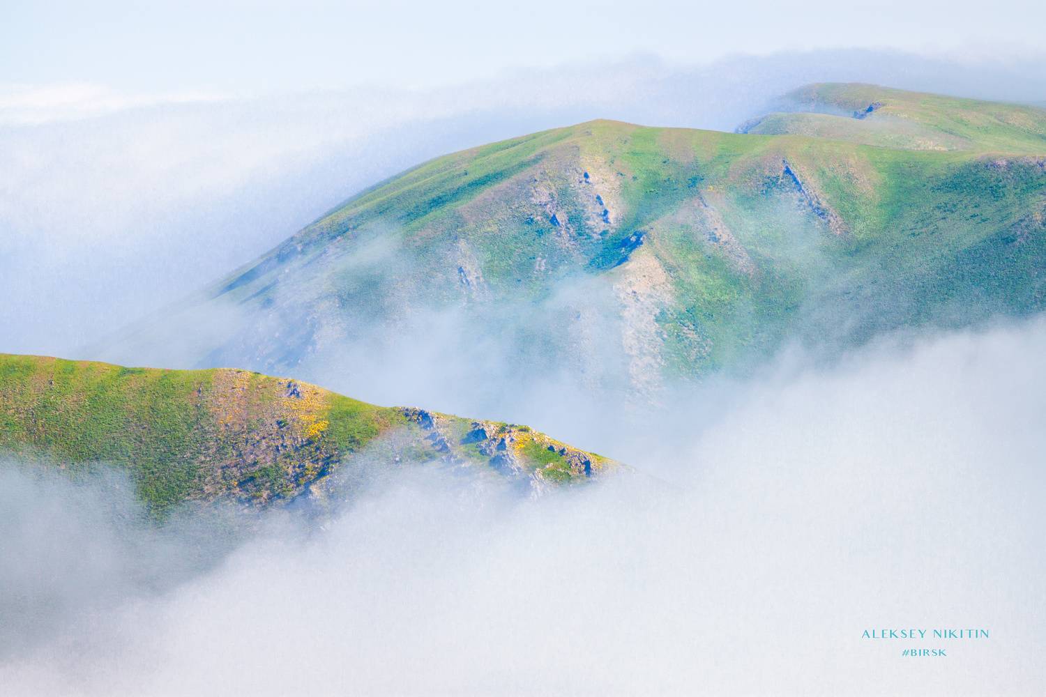 , Алексей Никитин