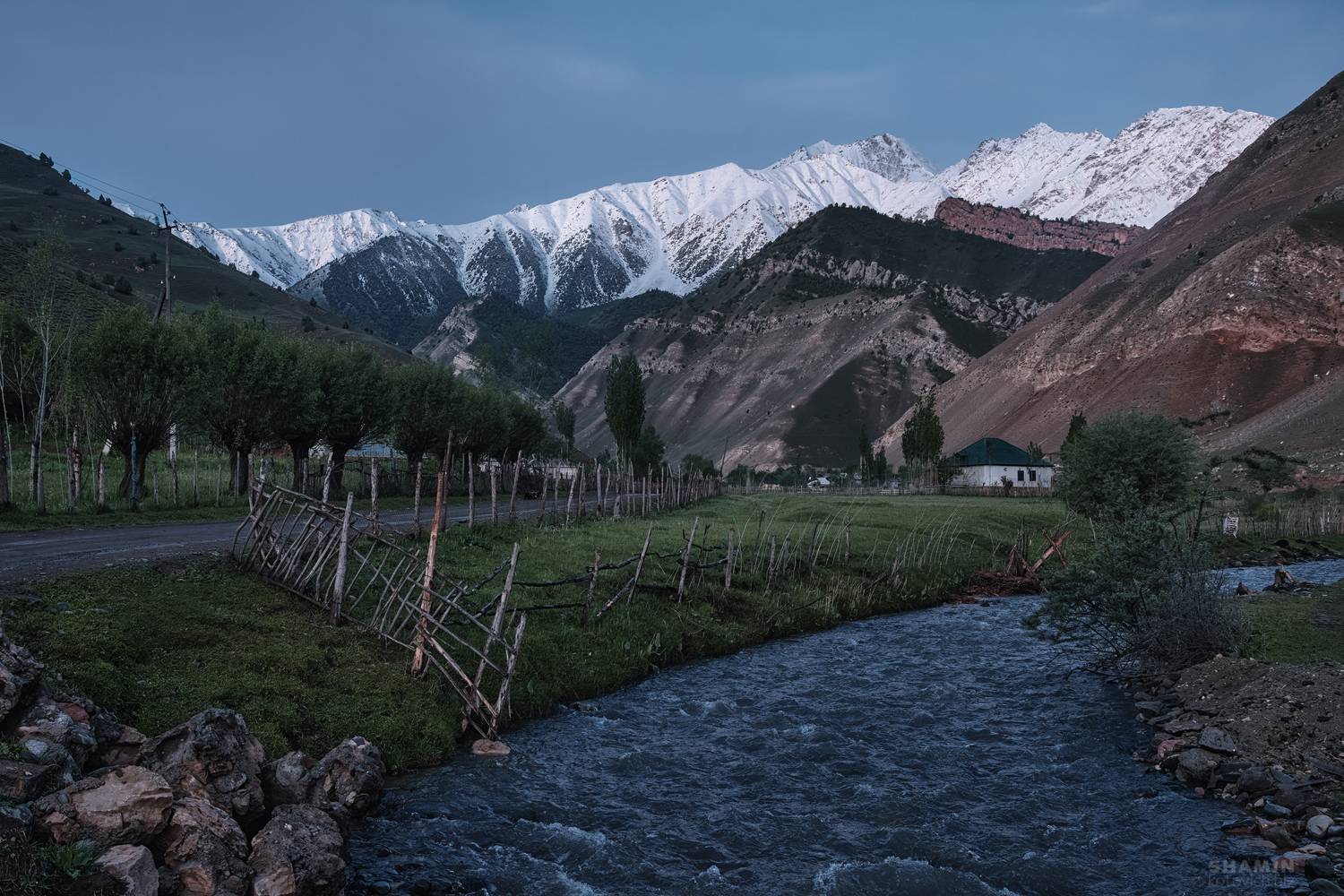 , Константин Шамин