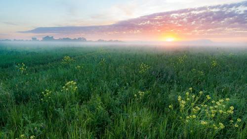 Заливные луга