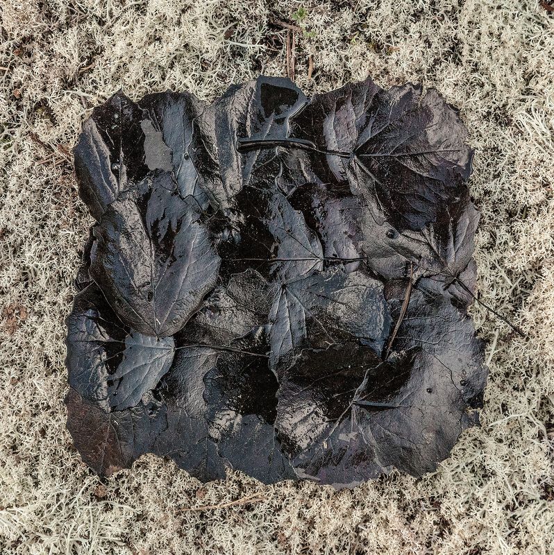 Супрематический лесной триптих фото превью