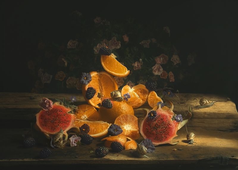 Sun frash фото превью