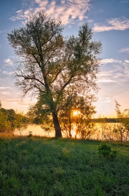На берегу озера фото превью