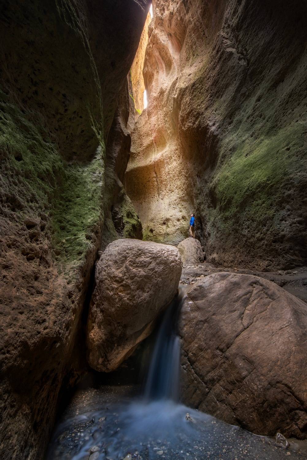 , Ширгин Сергей