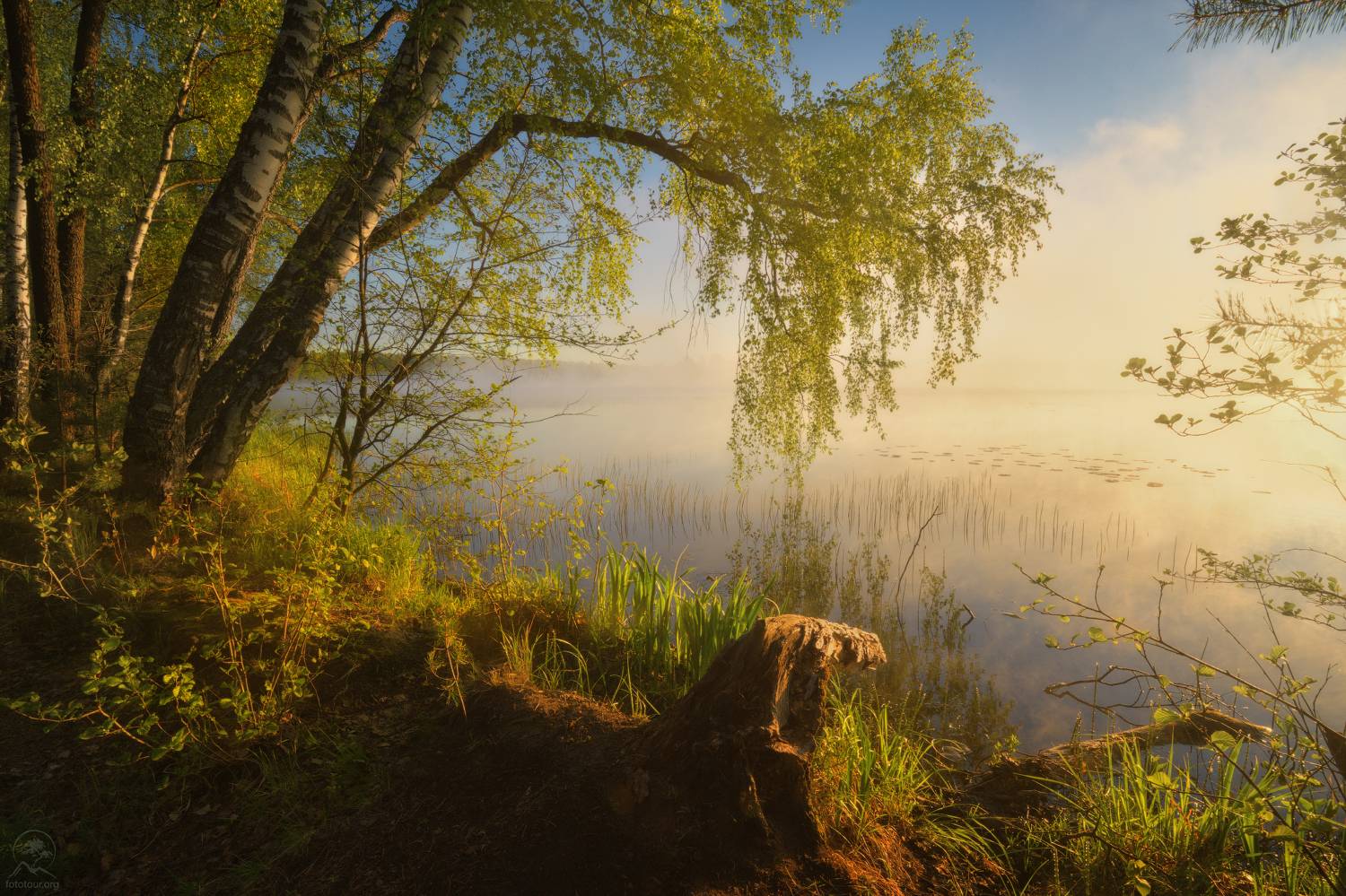 введенское озеро, тур по владимирской области, Гордиенко Анатолий