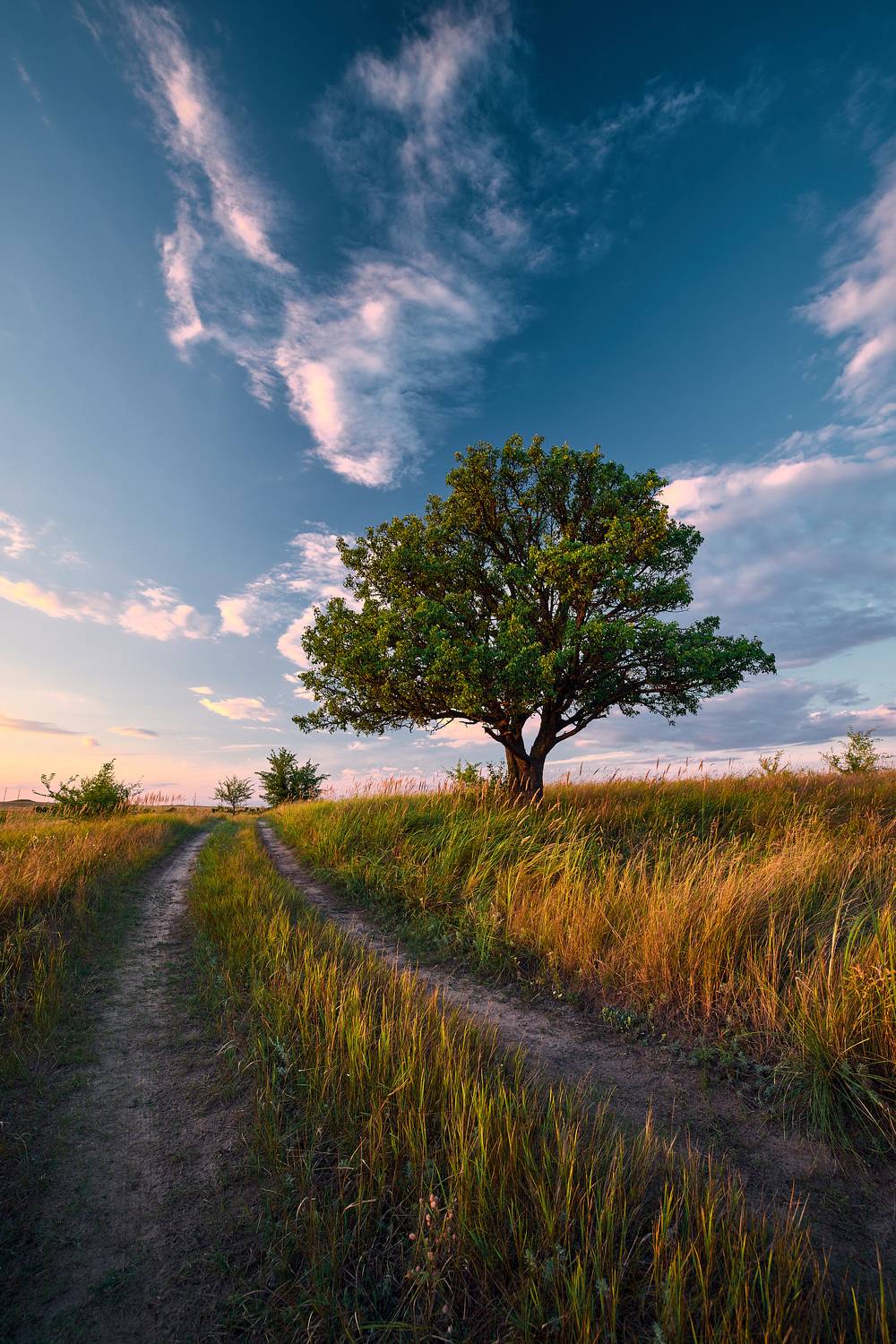 , Дыбов Дмитрий