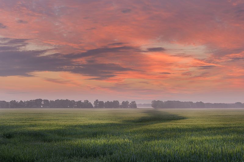 поле фото превью