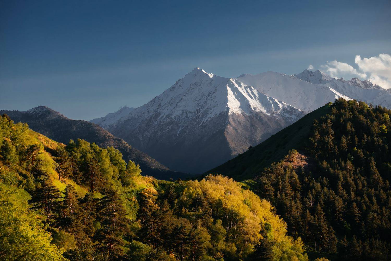 , Шивцов Евгений