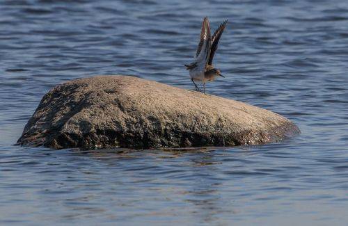 Пошаговая инструкция - как взлететь
