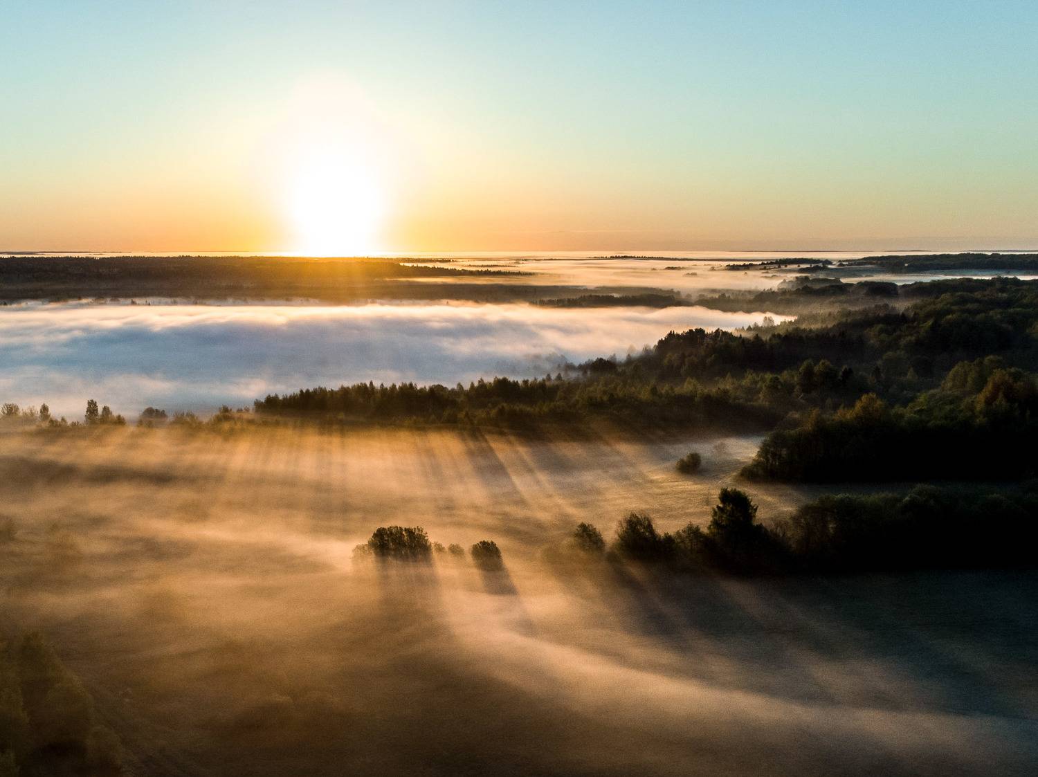 валдай, Шутов Тимофей