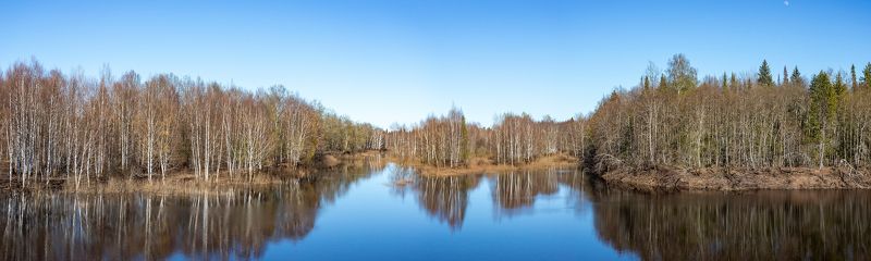 весна, половодье, май, заповедник Весна в заповеднике фото превью