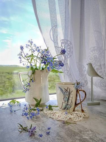 Чай и незабудки