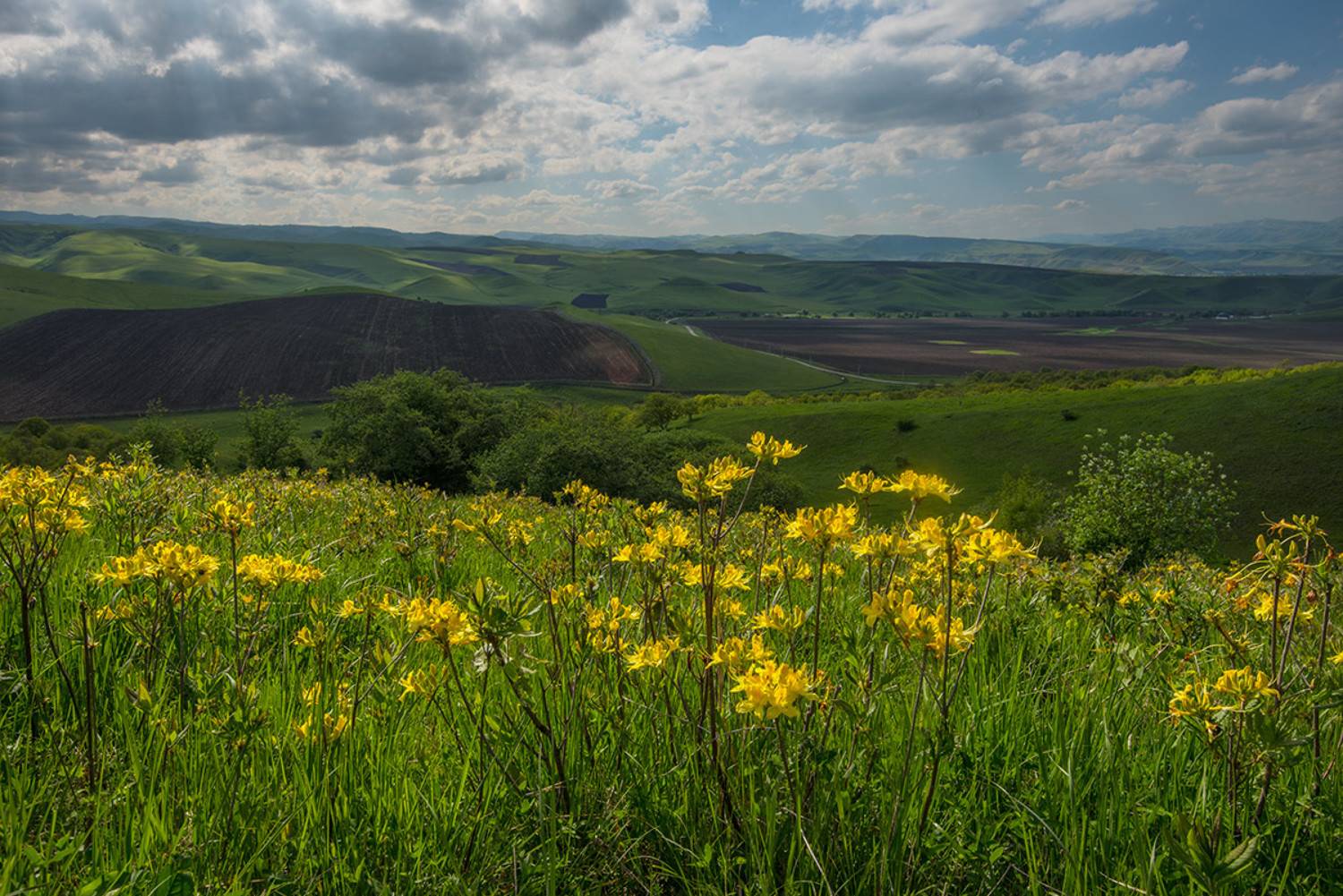 малкинское ущелье, кабардино-балкария, Хасан Журтов