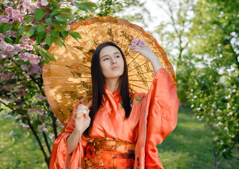 фотосессия, девушка, гейша, кимоно, сакура, глициния, цветение, весна, сады Гейша фото превью