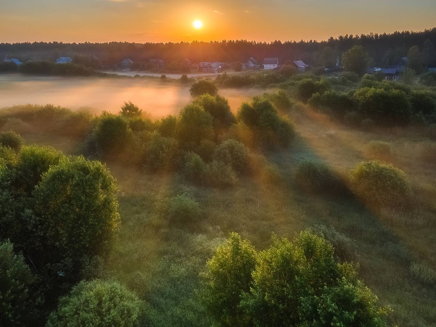 , Alexander Pashenichev