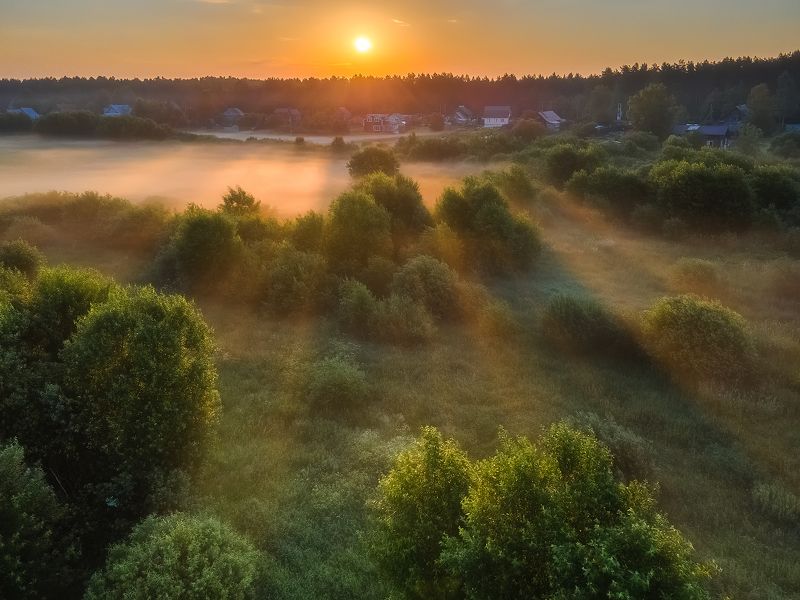 Солнечное утро. фото превью