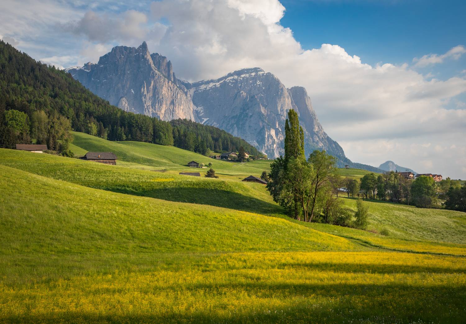 , Алекс Римский