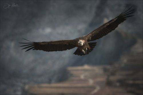 Повелитель неба