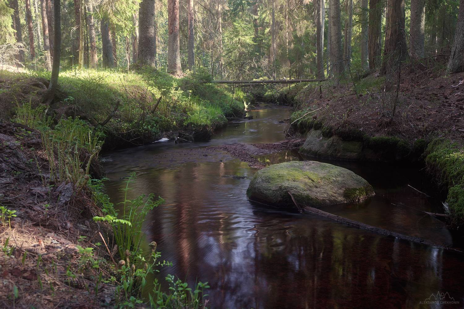 , Чехонин Александр