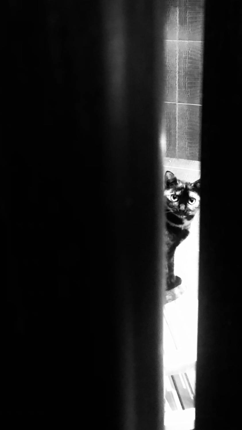 , Сергей Фаренюк